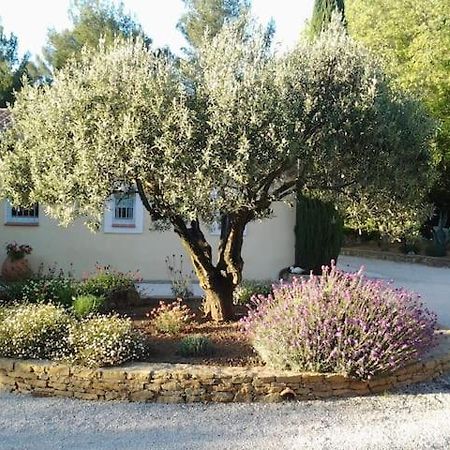Villa Maison Privee Au Calme Dans Mas Provencal Sanary-sur-Mer Exterior foto